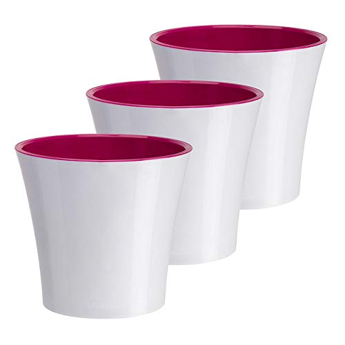White/Purple - Set of 3