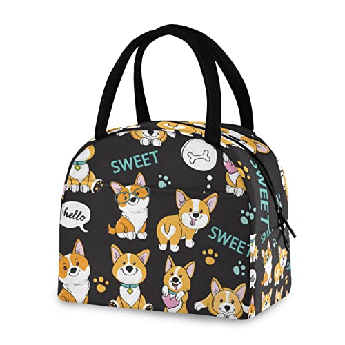 Corgi