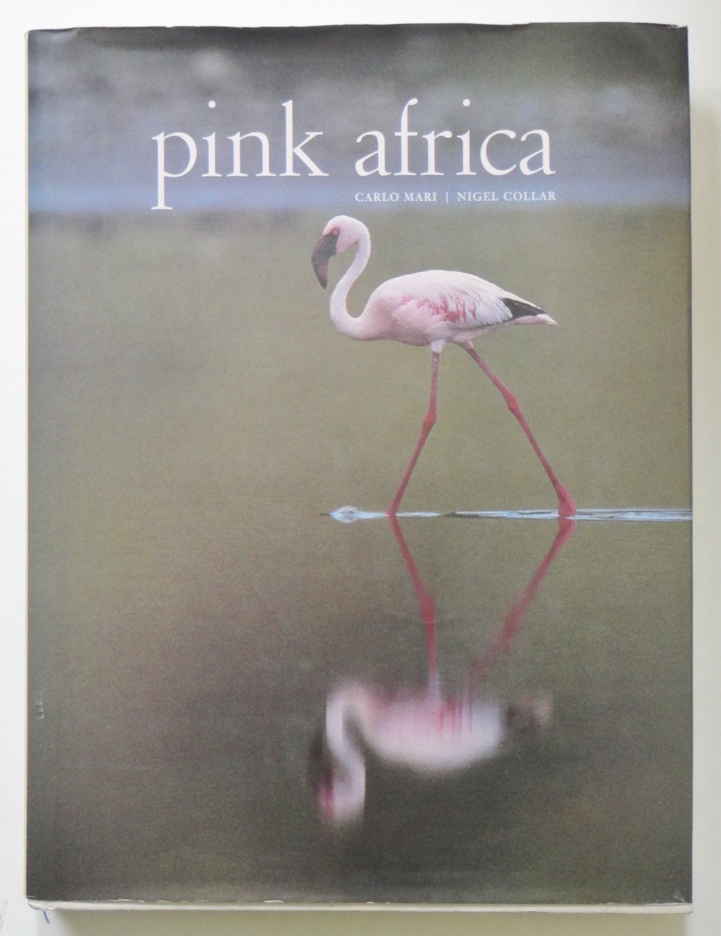 Pink Africa - Trendy African Print Fashion for Women | Perfect for Casual Wear, Parties & Cultural Events