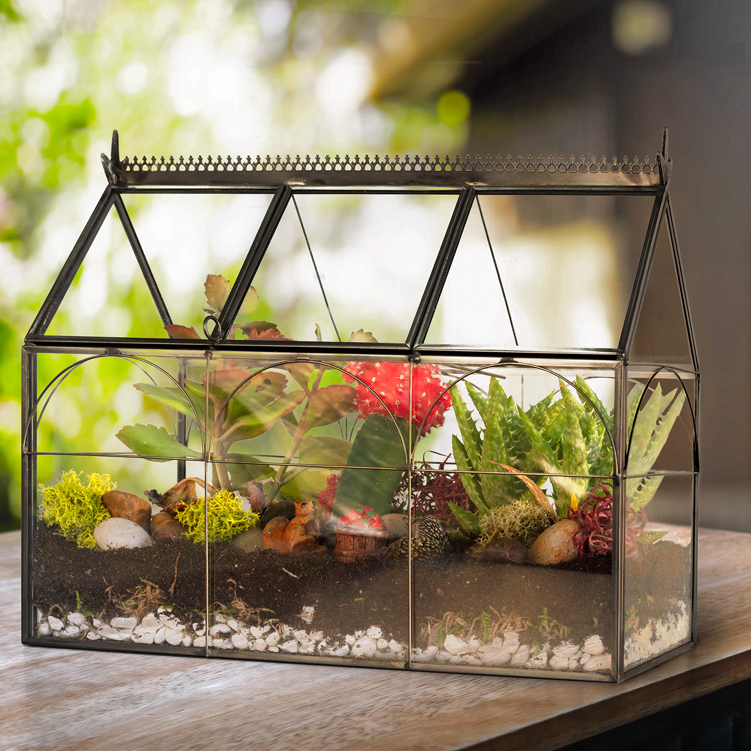 Decorative Glass Greenhouse Terrarium (10x4.5x9 Inches) - Indoor Tabletop Black Hinged Geometric Planter for Succulents, Air Plants, Moss & Ferns - Modern Home, Office & Garden Decor - Perfect Gift for Plant Lovers - Ideal for Windowsills, Desks & Shelf Displays