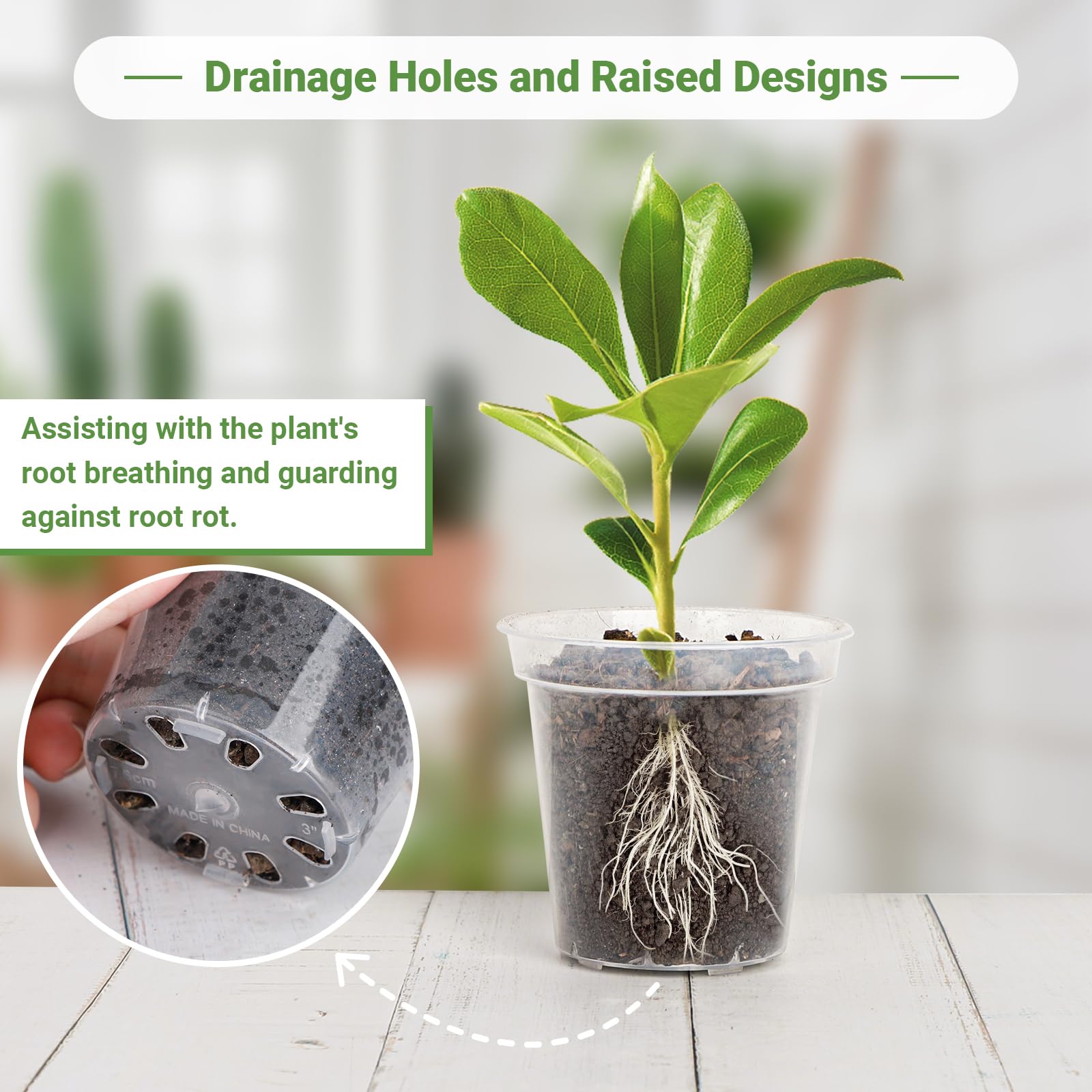 GREANER 60 Pack 3 Inch Clear Plastic Nursery Pots with Drainage Holes - Reinforced Seed Starter Pots for Indoor & Outdoor Plants - Includes 20 Plant Labels (Transparent) - Perfect for Gardening, Seedlings, Succulents & Herbs