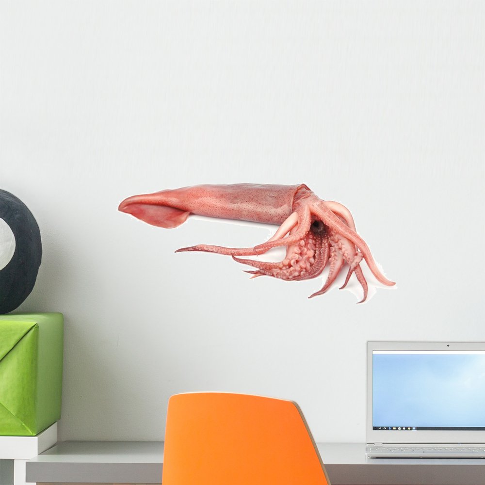 Fresh Squid Peel and Stick Wall Decal - 18