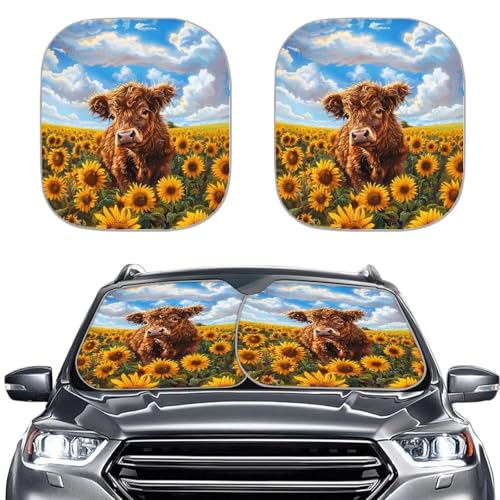 Sunflower Highland Cattle