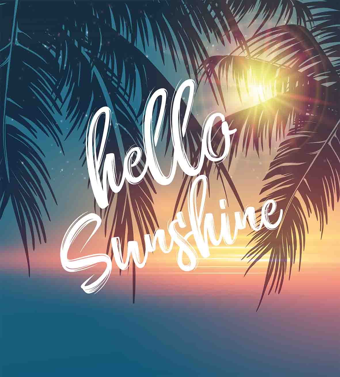 Ambesonne Hello Sunshine Duvet Cover Set - Tropical Beach Sunset with Palm Trees Design, 3-Piece Queen Size Bedding Set with 2 Pillow Shams in Tan & Blue | Perfect for Summer Bedroom Decor, Coastal Theme Rooms & Vacation Home Styling