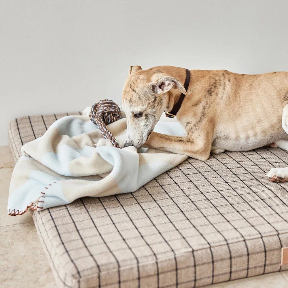OYOY ZOO Kaya Dog Blanket - Soft & Cozy Pet Blanket for Dogs & Cats, Ice Blue, 2 Sizes (Small & Large) - Perfect for Couch, Bed & Travel Use