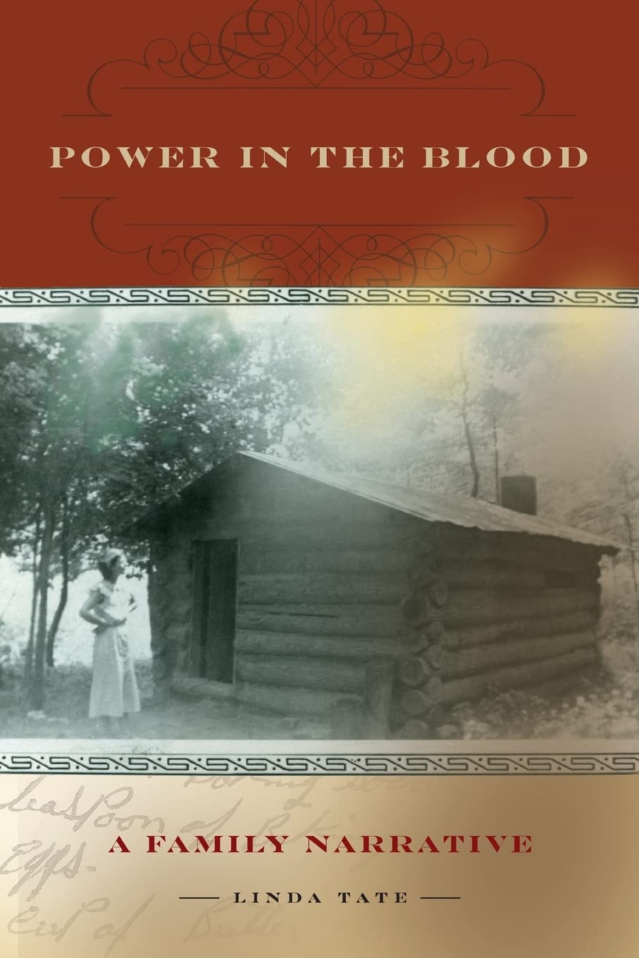 Power in the Blood: A Family Narrative - Exploring Race, Ethnicity and Gender in Appalachian History | Perfect for Genealogy Research & Cultural Studies