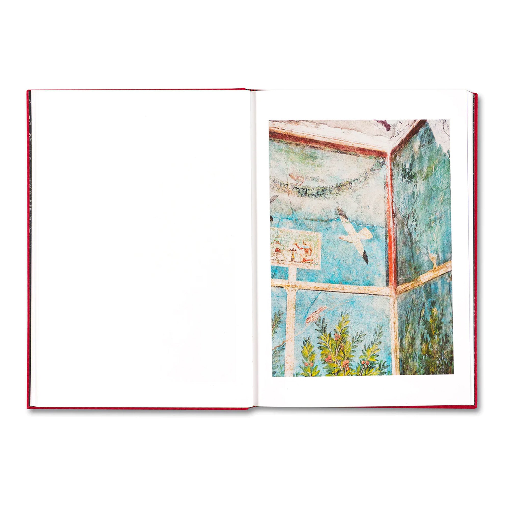 SONATA: Aaron Schuman Hardcover Photography Book - Perfect for Art Collectors, Photography Enthusiasts, and Coffee Table Decor