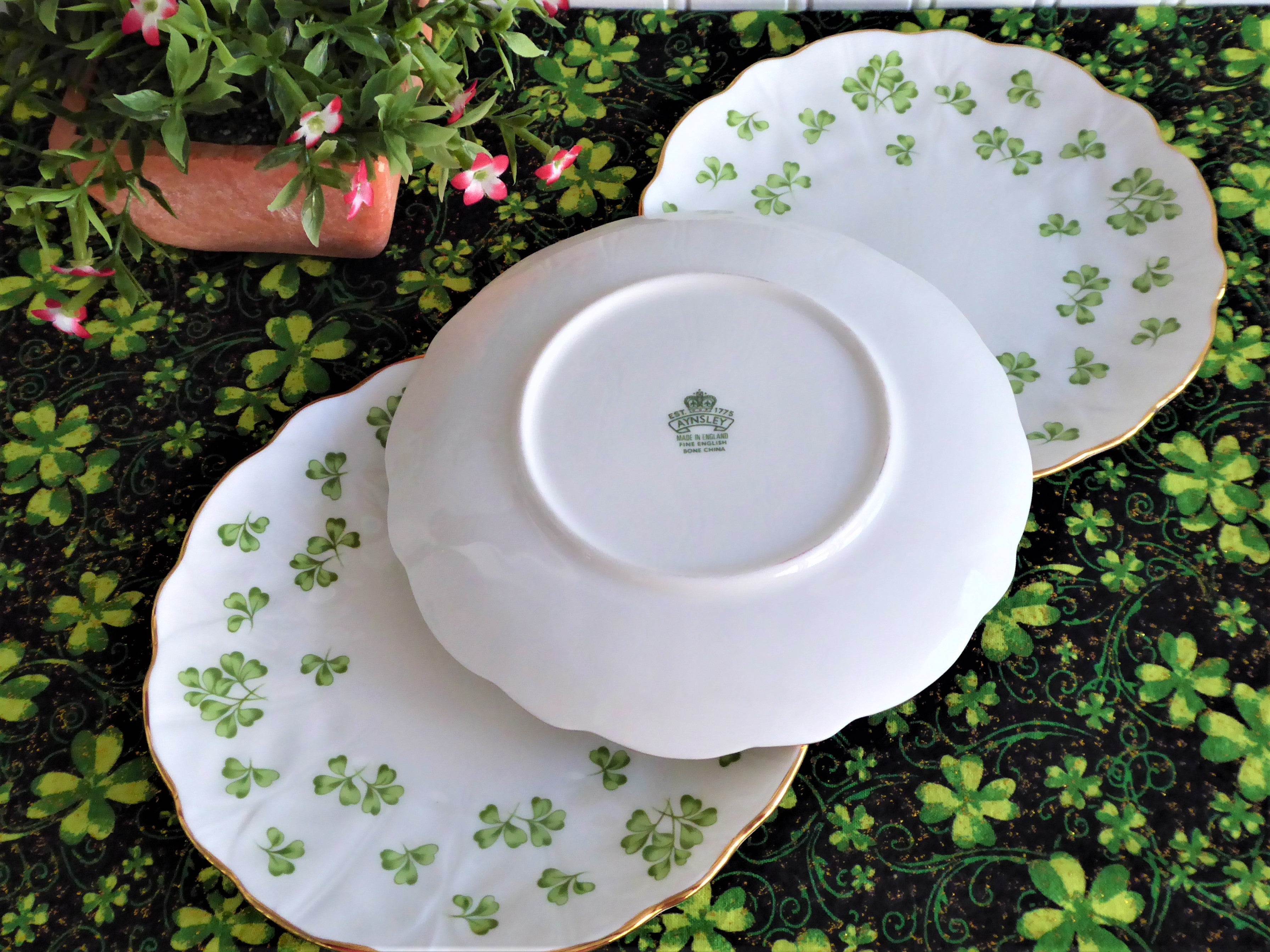 Vintage Aynsley Shamrock Set of 3 Green Irish Bone China Plates - 1950s English Dinnerware for Bread & Dessert | Perfect for St. Patrick's Day, Tea Parties & Collectible Display