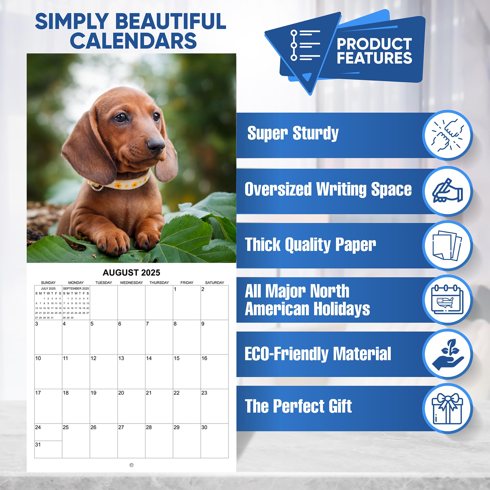 2025 Dachshund Wiener Dog Wall Calendar - 12