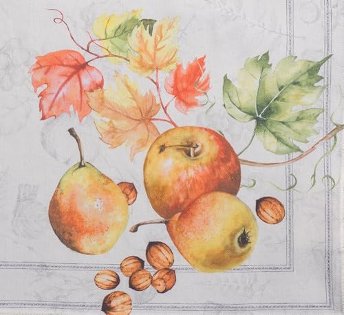 26 - Fruit D'hiver