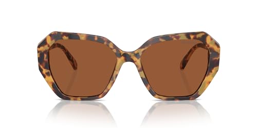 Dark Havana/Dark Brown