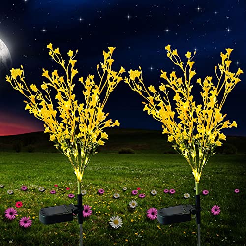 Rapeseed
