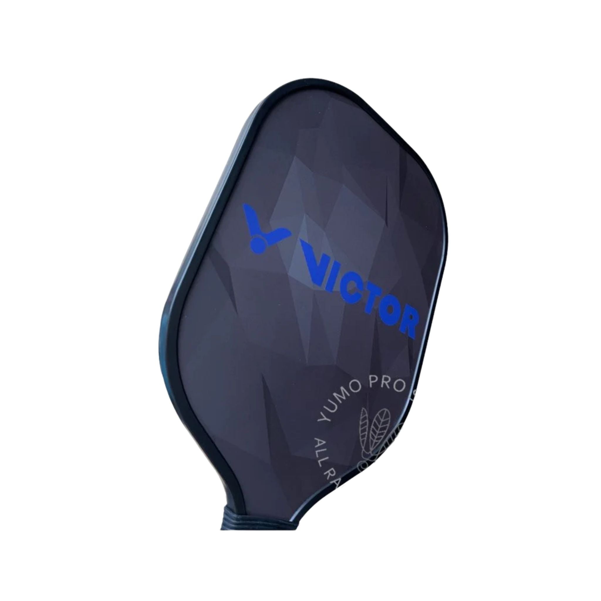 Victor Graphite Pickleball Paddle Set with Balls - Lightweight & Durable for Indoor & Outdoor Play - Perfect for Beginners & Advanced Players