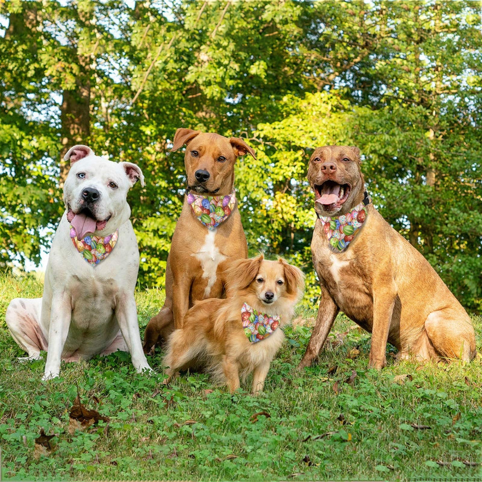 Easter Dog Bandanas with Adjustable Buckle - Colorful Easter Egg Pattern Pet Bandana Scarf - Washable Dog Collar Accessory for Spring Festivities & Holiday Photos