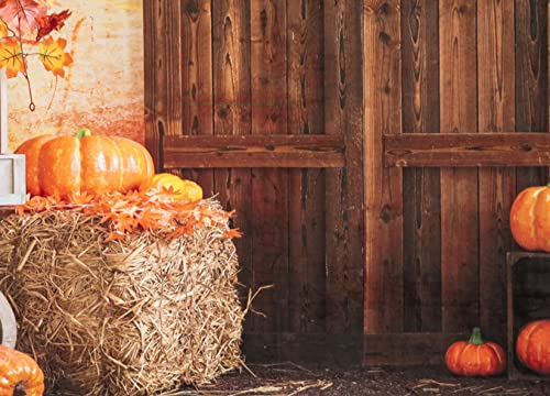 10x10ft Thanksgiving Backdrop - Autumn Pumpkin Photo Studio Props for Fall Decor