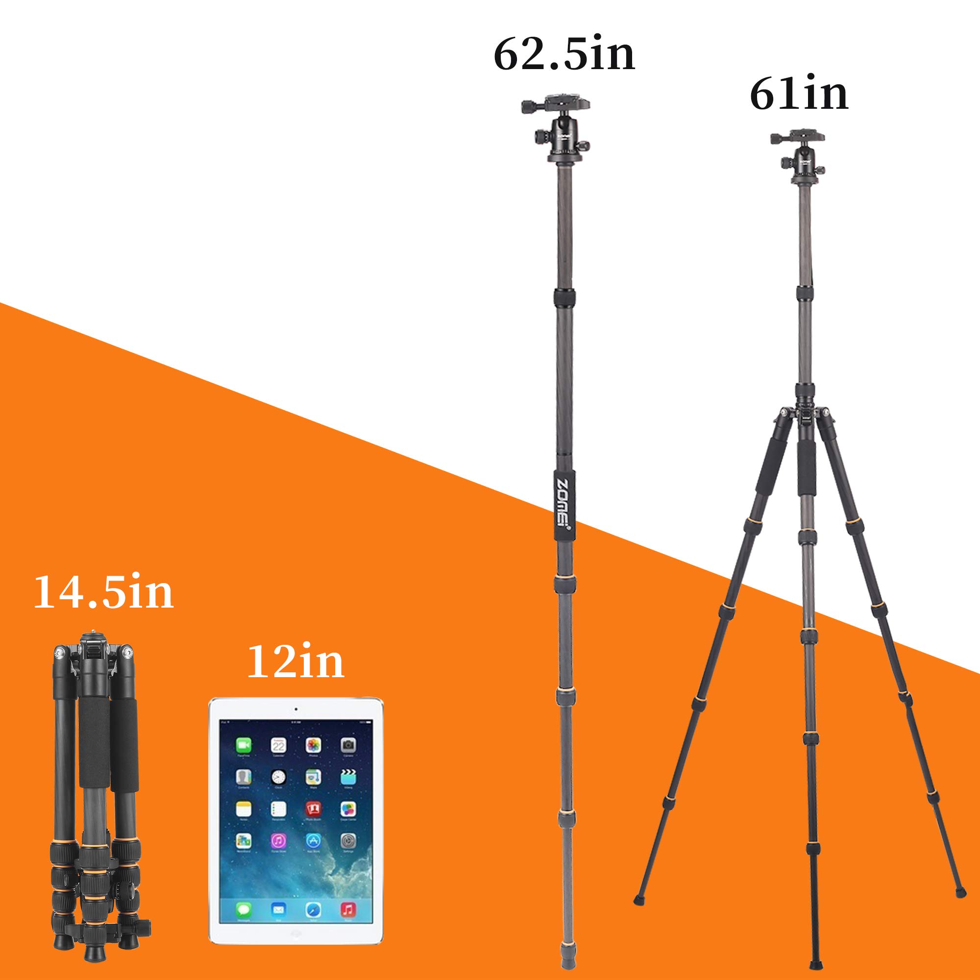 ZOMEI Q666C Carbon Fiber Tripod - Heavy Duty & Lightweight Travel Tripod with 360° Ball Head - Compact Camera Stand for Canon, Sony, Nikon DSLR - Perfect for Travel, Photography & Vlogging