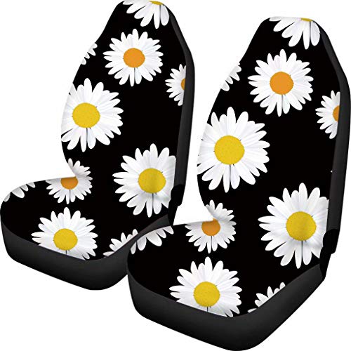 Black White Big Daisies
