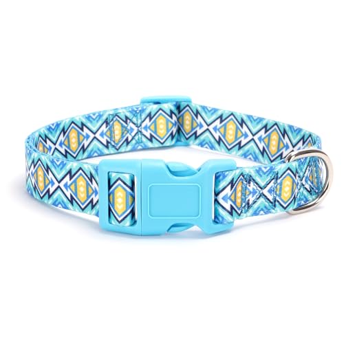 28.Blue Lattice