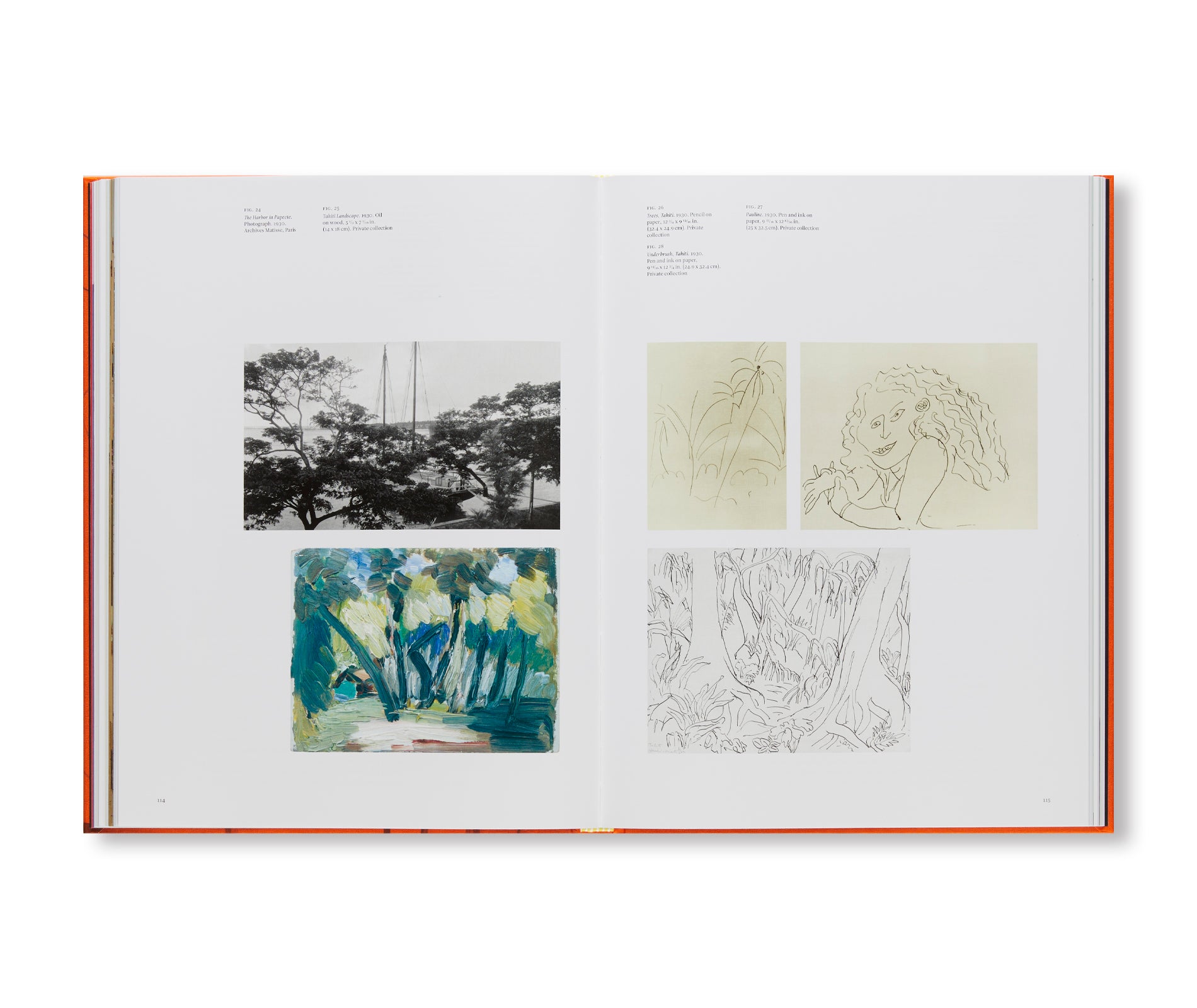 Matisse in the Barnes Foundation by Henri Matisse - Famous Art Book for Collectors, Perfect for Home Decor & Art Lovers