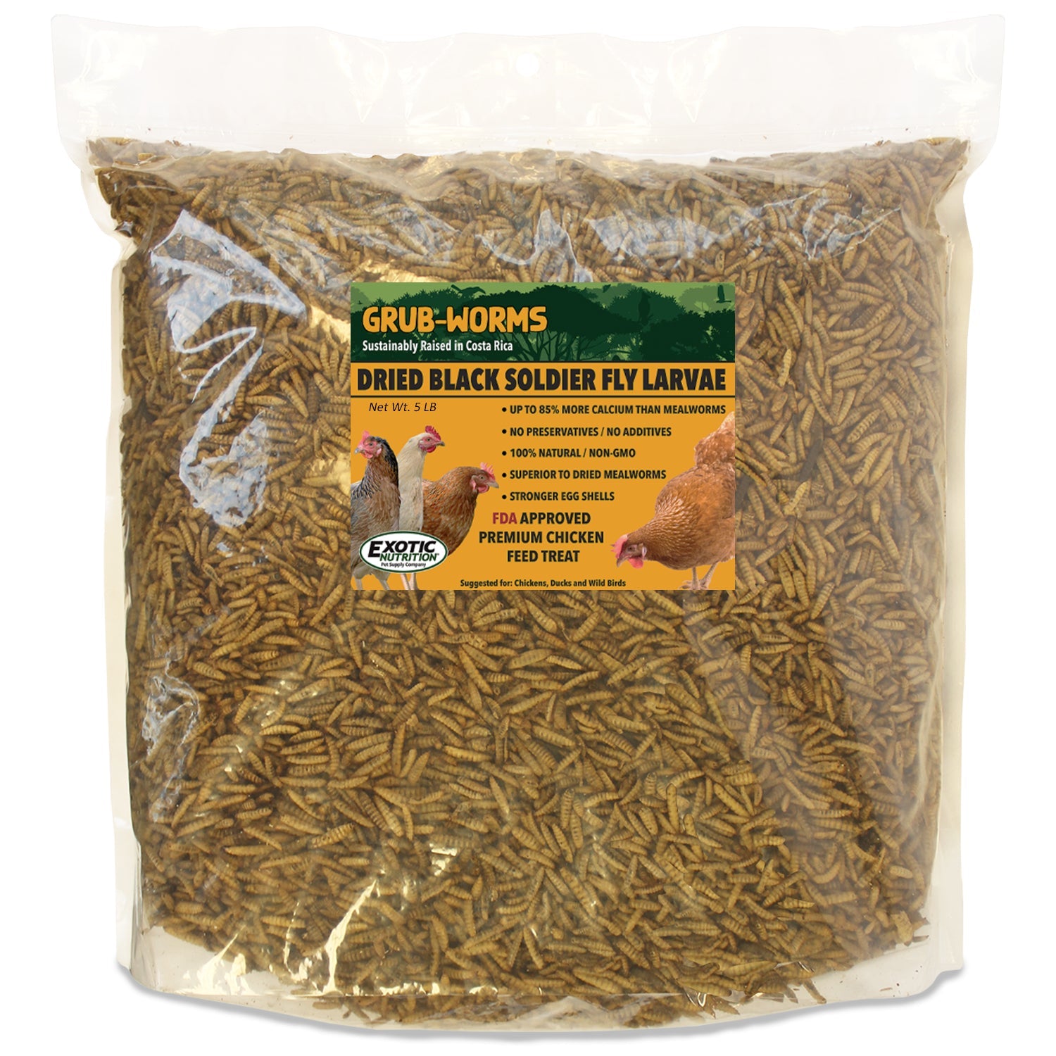 Premium Grub Worms - Black Soldier Fly Larvae for Reptiles, Chickens & Wild Birds | High-Protein Live Feed for Bearded Dragons, Geckos & Poultry | Perfect for Fishing Bait & Composting