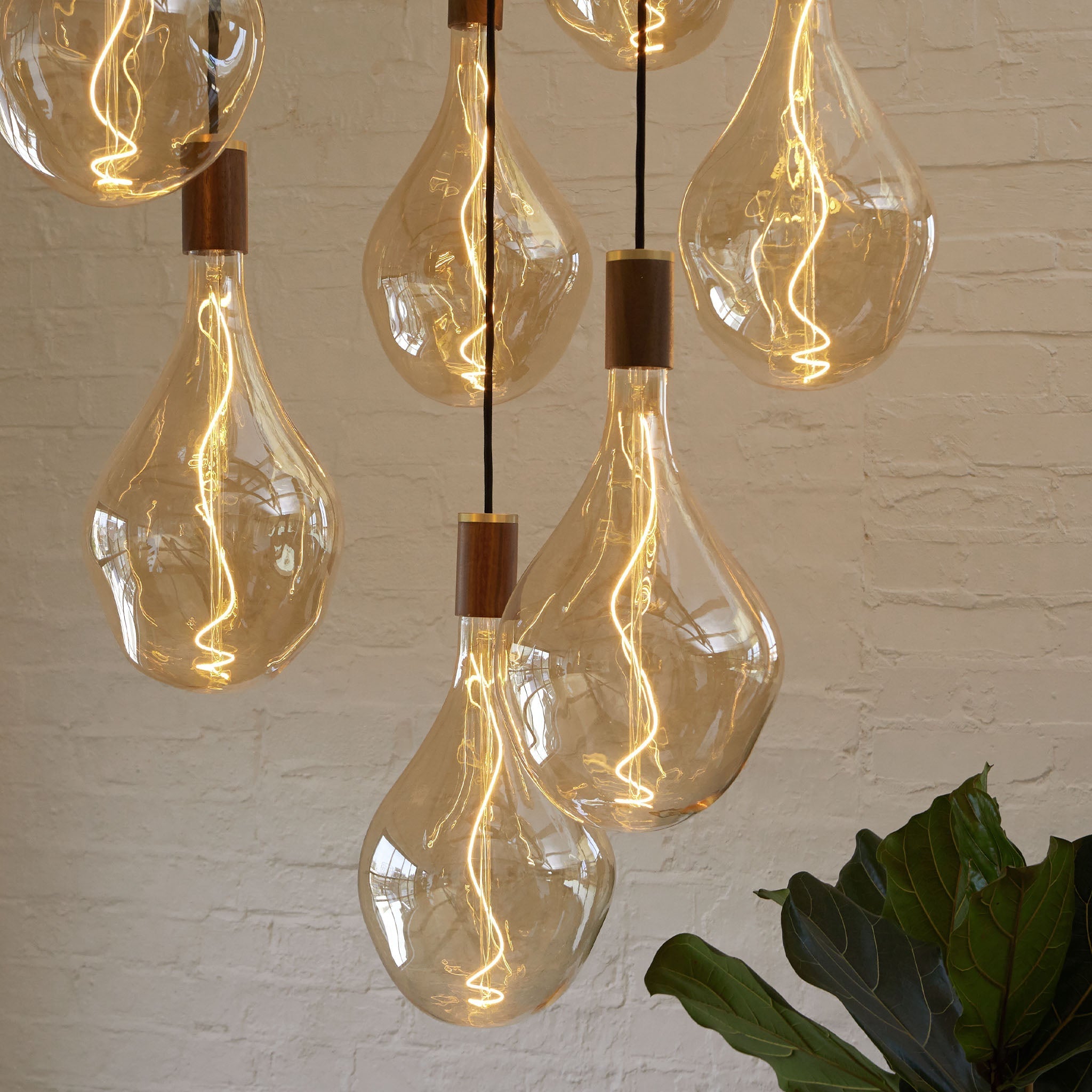 Voronoi III E26 LED Light Bulb - Energy Efficient Dimmable Edison Bulb for Home, Office, and Restaurant Lighting