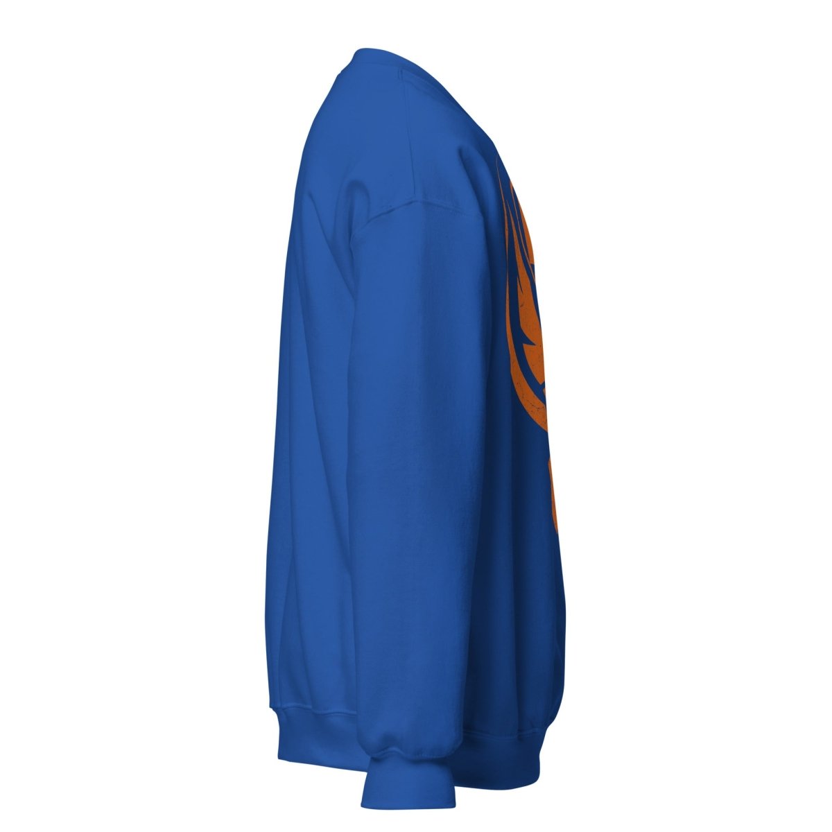 Phoenix Reborn Unisex Recovery Sweatshirt - Comfortable Post-Workout Hoodie for Men & Women - Perfect for Gym, Yoga & Relaxation