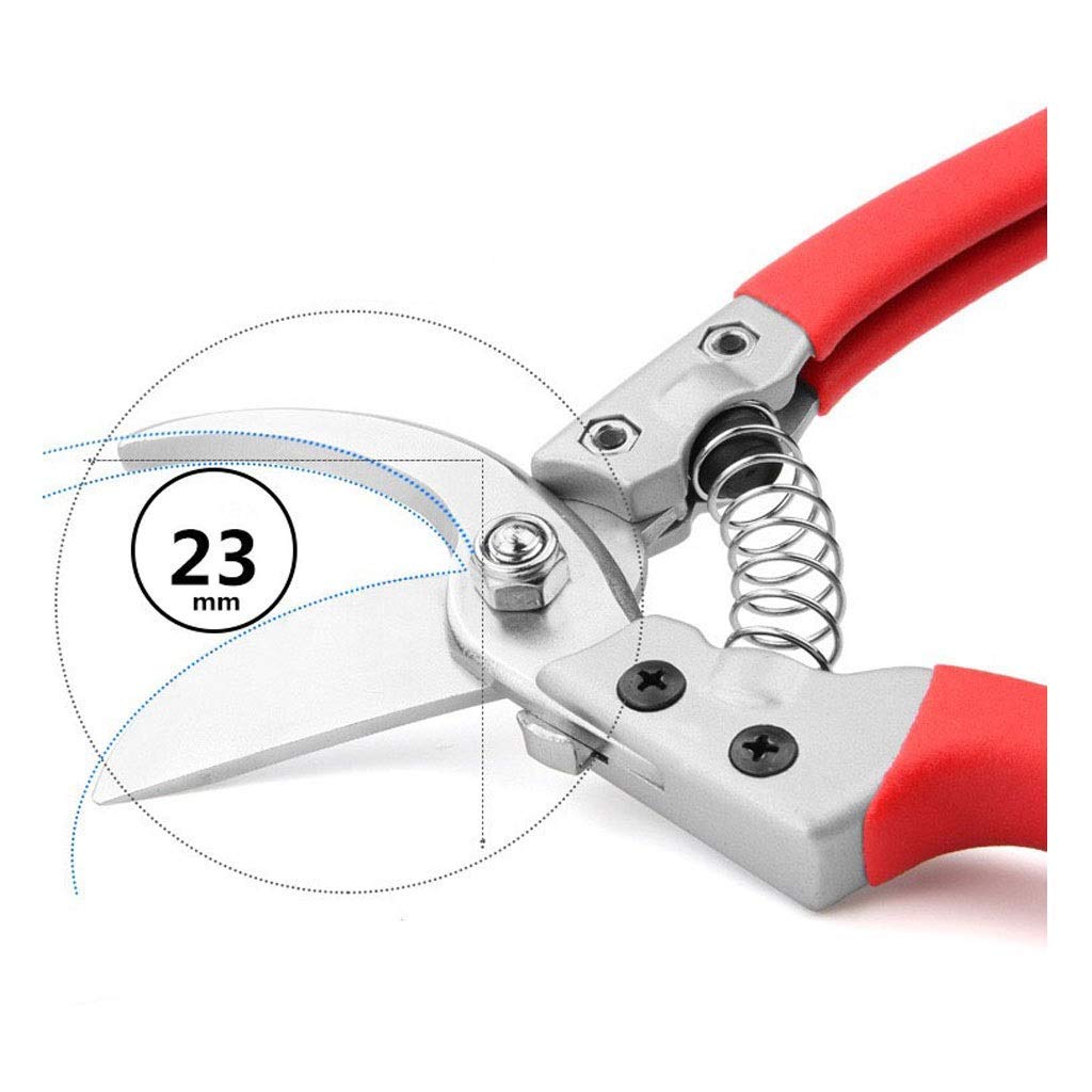 Professional Garden Pruning Shears - Sharp Bypass Pruner for Flowers & Branches | Manual Branch Trimmer & Plant Scissors | Ergonomic Red Gardening Tools for Women | Perfect for Trimming Roses, Shrubs & Indoor Plants
