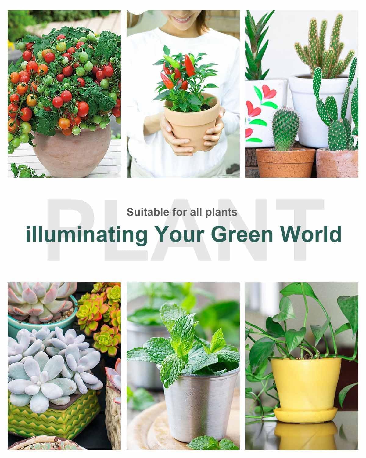 DOMMIA Full Spectrum LED Grow Lights for Indoor Plants - Dual Head Clip Plant Light with Warm White & Red LEDs, Adjustable Gooseneck, Manual ON/Off Switch - Perfect for Houseplants, Seedlings, Hydroponics & Indoor Gardening