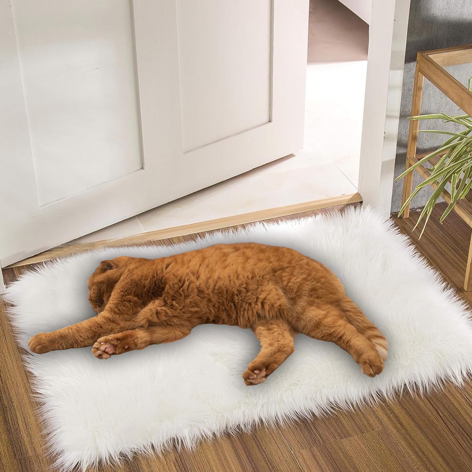 Fluffy Washable Small Dog & Cat Bed - Super Soft Plush Faux Fur Pet Mat for Indoor Sleeping | Warm Comfortable Cushion for Puppies, Kittens & Small Pets | Perfect for Bedroom, Living Room & Pet Carriers