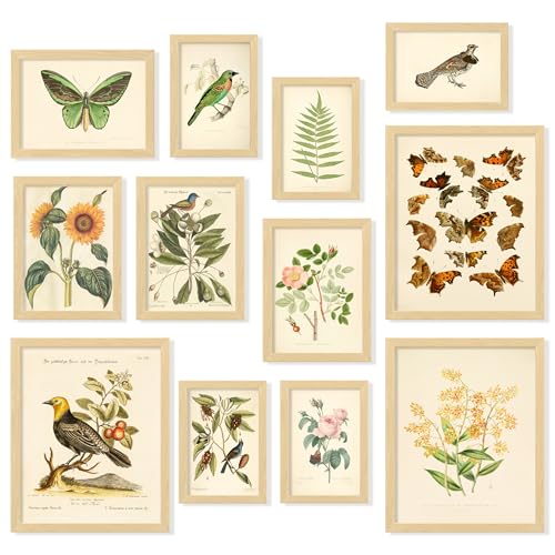 Vintage Botanical