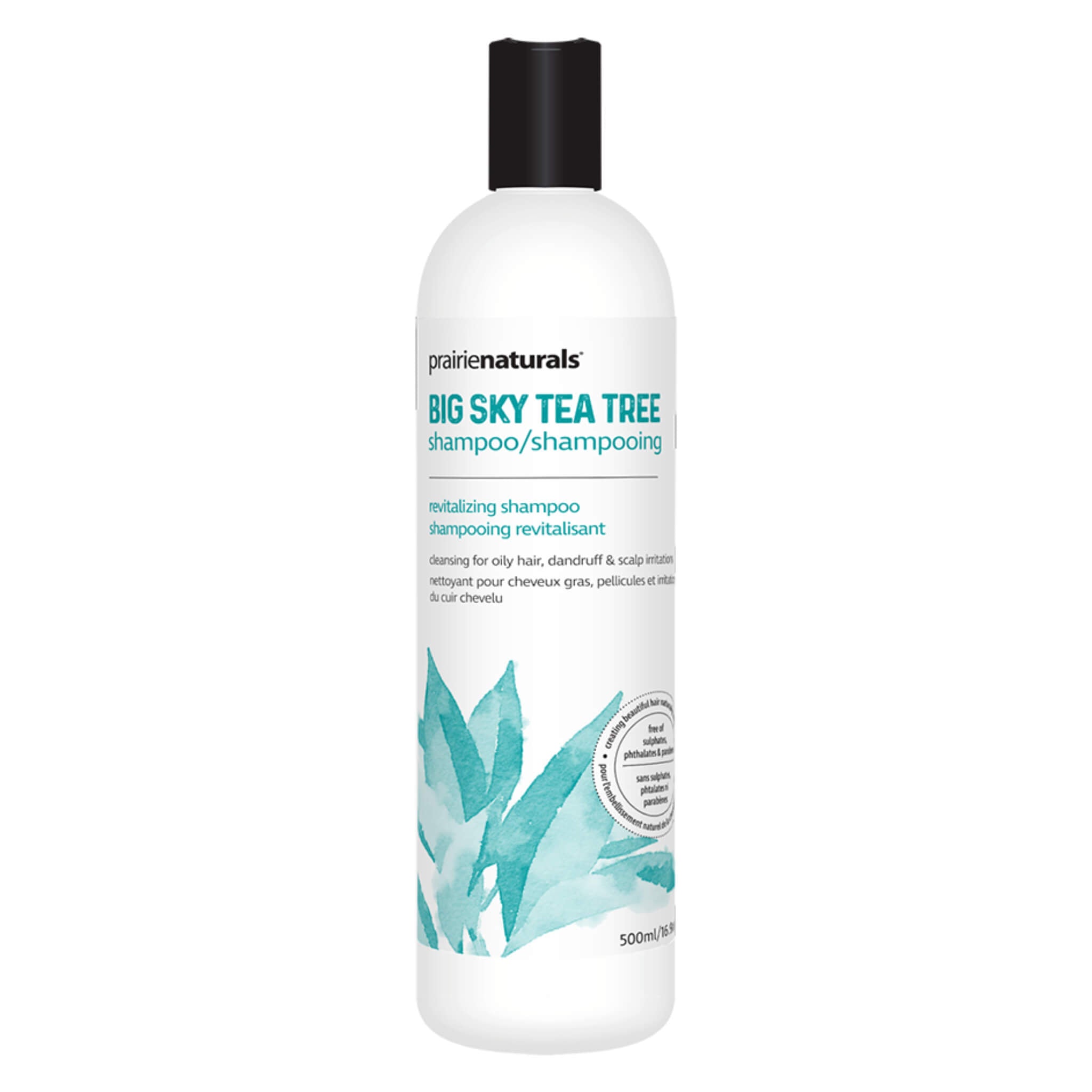Big Sky Tea Tree Oil Shampoo for Scalp Care - Soothes Itchy Scalp & Dandruff - Natural & Medicated Formula for Healthy Hair - Perfect for Daily Use & Sensitive Scalps