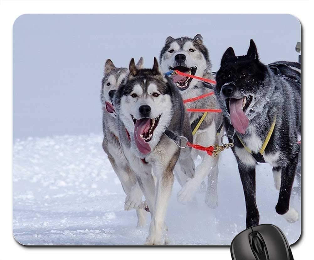 Premium Gaming Mouse Pad with Non-Slip Base - Husky Sled Dog Racing Design for Winter Sports Enthusiasts - Perfect for PC, Laptop & Esports Gaming Setup