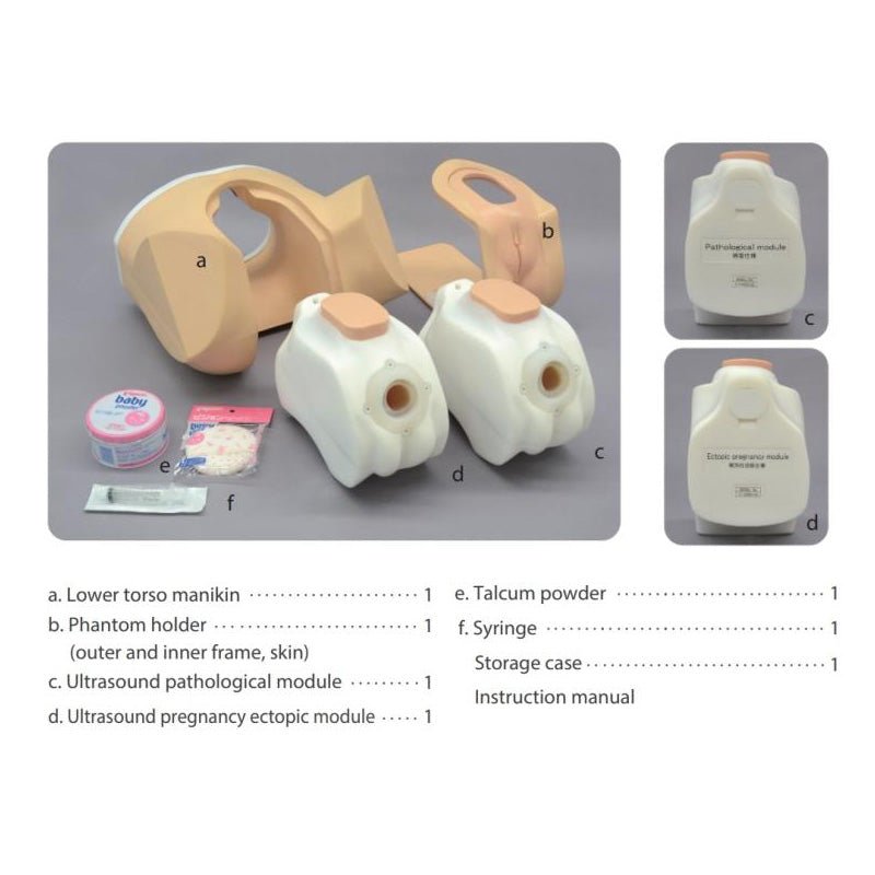 Female Pelvic Ultrasound Phantom - Transvaginal & Transabdominal Training Model for Medical Education - Perfect for OB/GYN Simulation, Sonography Practice & Ultrasound Technician Training