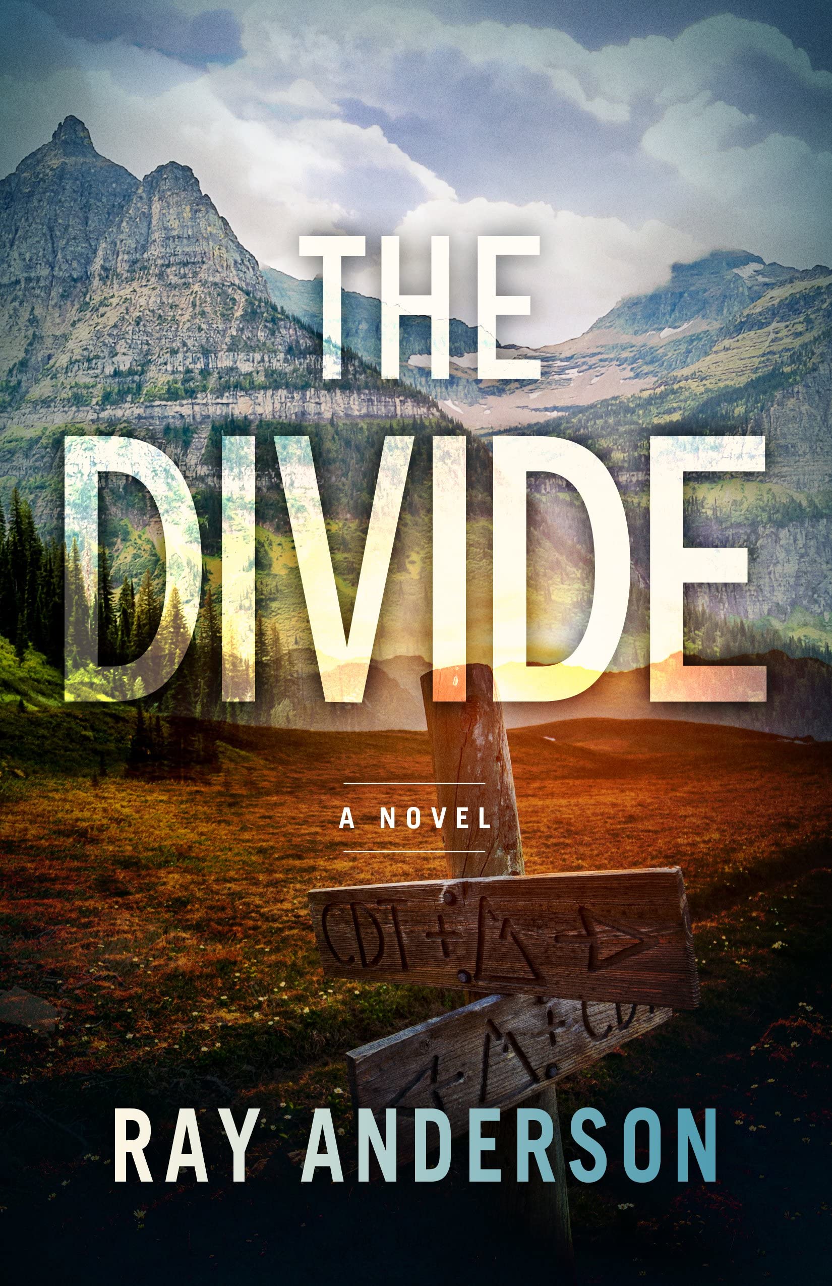 The Divide: AWOL Thriller Book 3 - Military Suspense for Readers