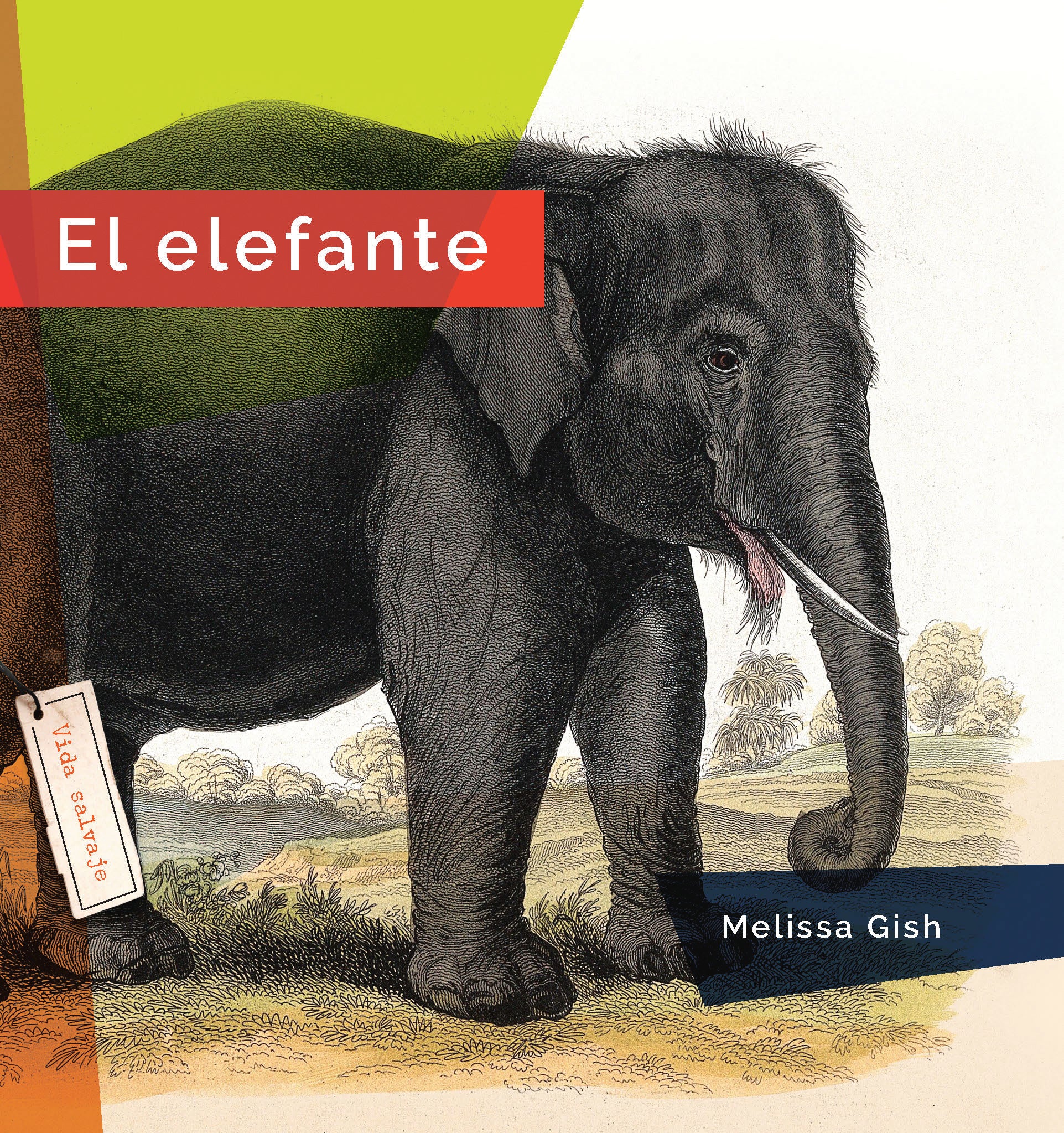 El Elefante 9781640267404 - Bilingual English/Spanish Children's Book About Elephants - Perfect for Kids' Bedtime Stories & Classroom Learning