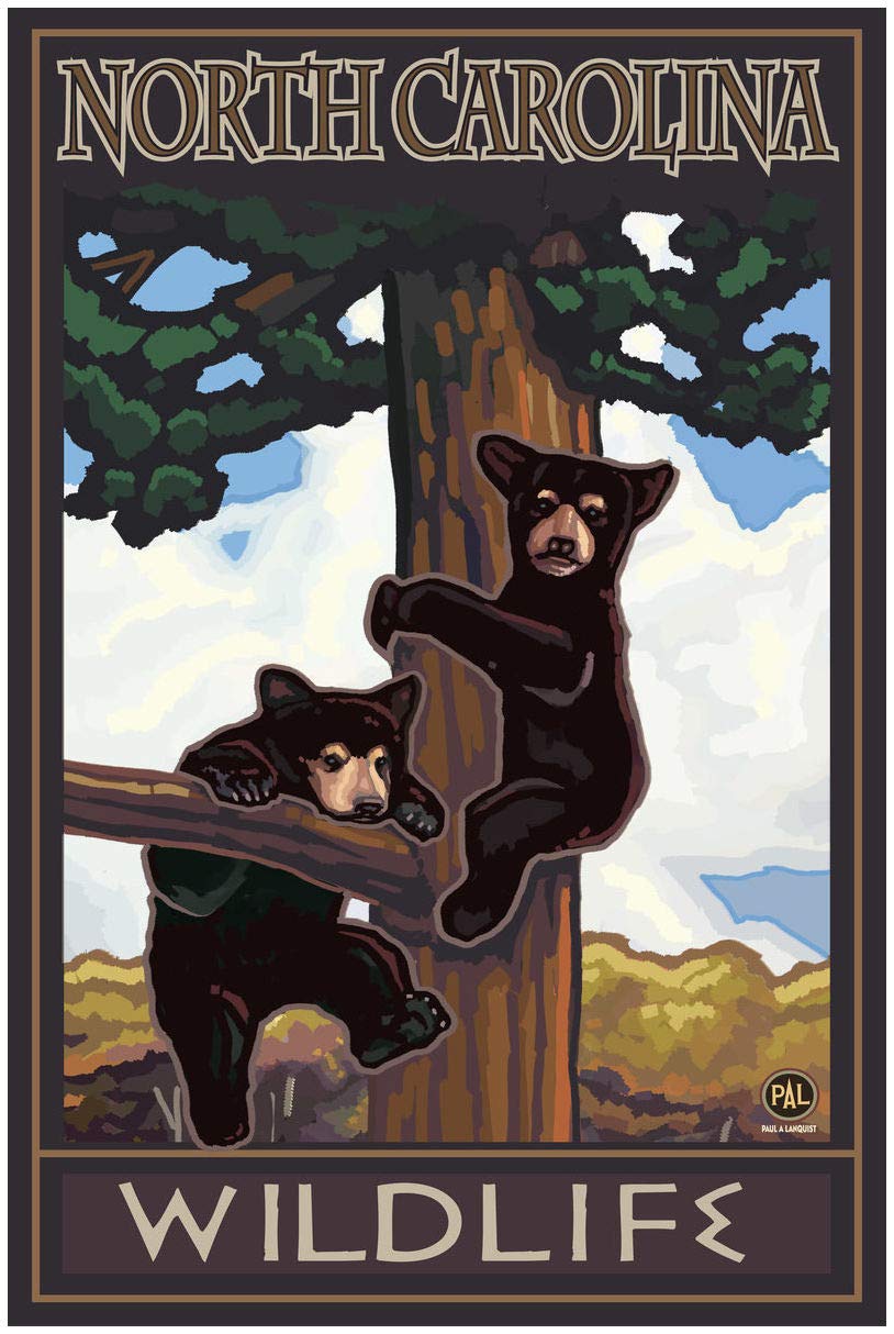 North Carolina Two Bears in Tree Giclee Art Print Poster - 30