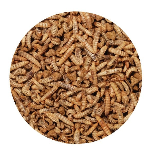 Living World Green Gourmet Toppers for Small Pets - Nutritious Insect-Based Food for Hamsters, Gerbils & Mice - Perfect for Cage Feeding & Treat Time