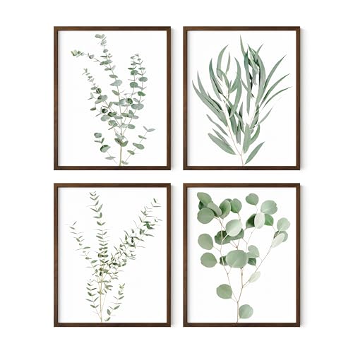 Eucalyptus Leaves