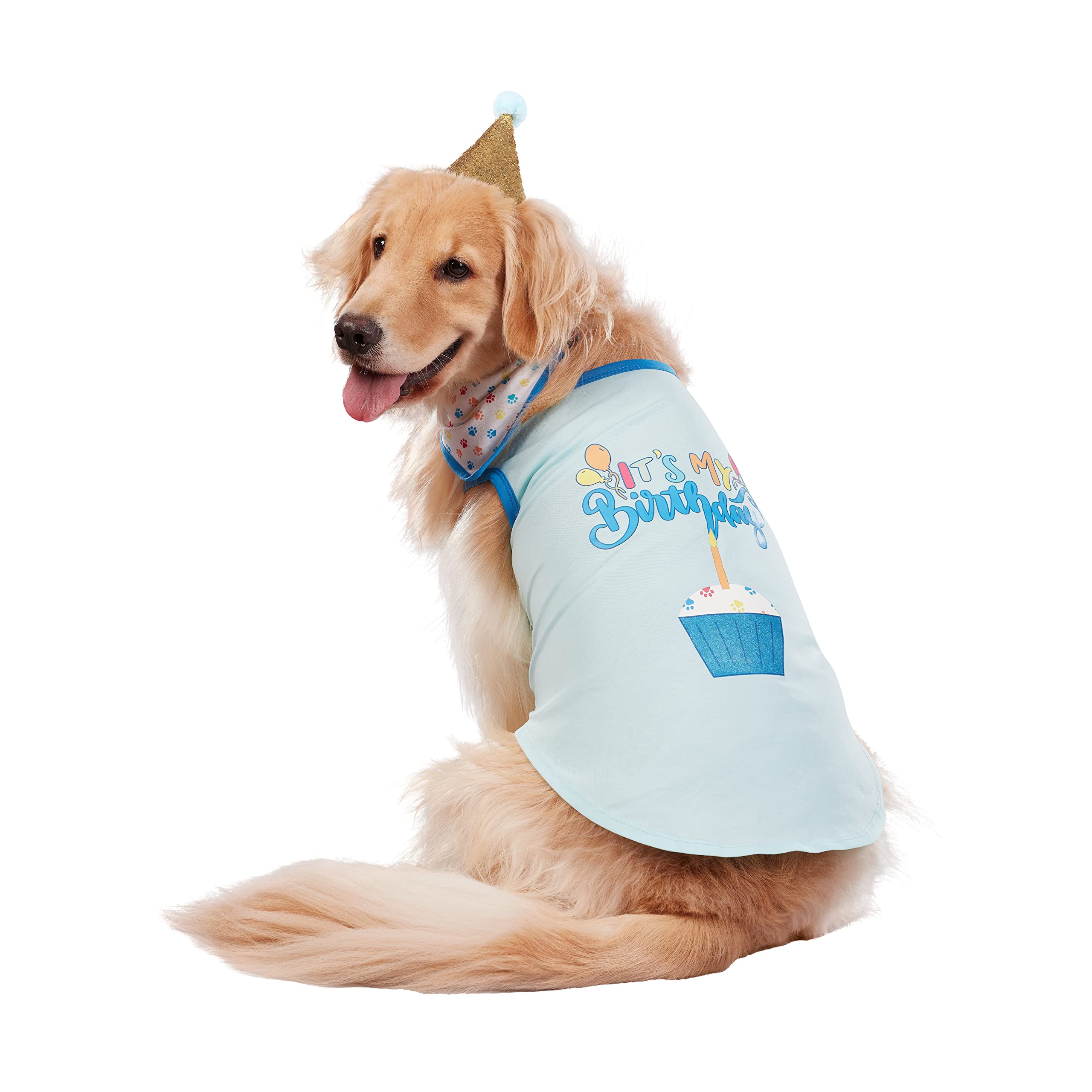 X-Large Dog Birthday Party Set for Birthday Boy - Perfect for Pet Celebrations, Dog Birthday Decorations & Puppy Parties