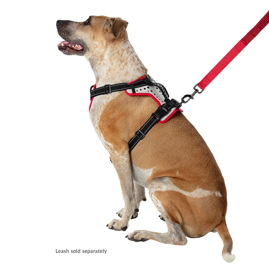 Best No-Pull Dog Harness for Running & Walking - Adjustable Reflective Pet Harness for Small, Medium, Large Dogs - Perfect for Jogging, Hiking & Outdoor Adventures