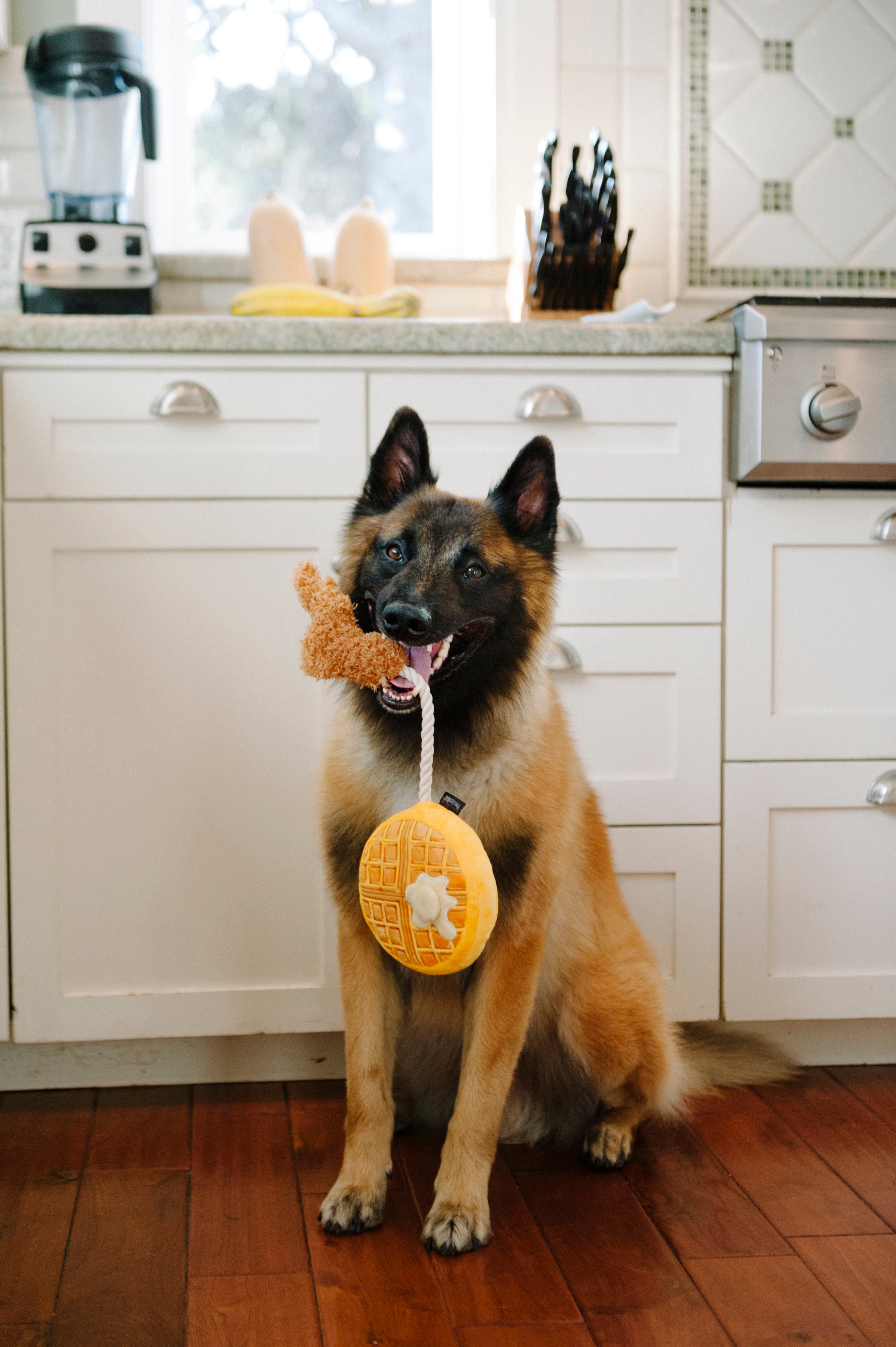 El Pollo y Waffle Plush Dog Toy - Barking Brunch™ Chew Toy for Dogs by Pet P.L.A.Y. | Soft & Durable Puppy Plaything for Fetch, Cuddling & Teething Relief