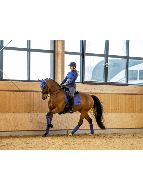 Le Mieux Spectrum Fly Hood - Lightweight Horse Fly Mask with UV Protection - Perfect for Riding, Training & Pasture Turnout