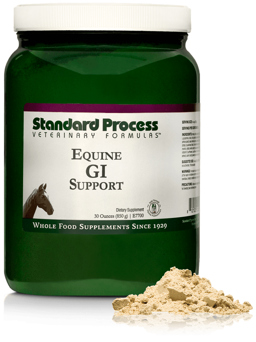 Equine GI Support Supplement for Horses - 30 oz (850 g) - Promotes Digestive Health & Gut Balance - Ideal for Performance Horses, Senior Horses & Post-Surgery Recovery