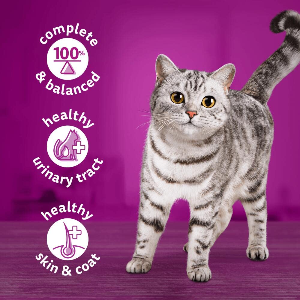 Whiskas Adult Cat Wet Food - Chicken in Jelly, Pack of 12 x 400g Cans - High Protein Meal for Indoor & Outdoor Cats - Perfect for Daily Feeding & Weight Maintenance