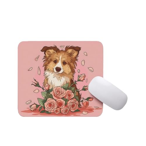 Shetland Sheepdog