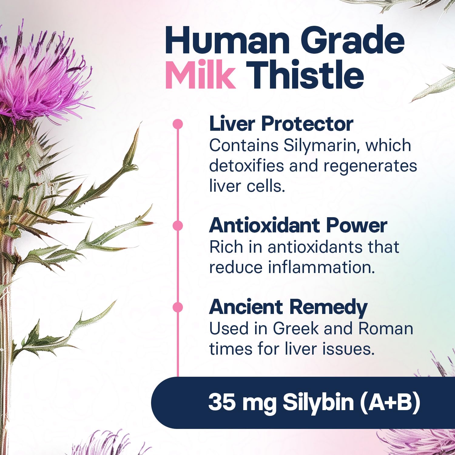 Liver Health Supplement for Large Dogs - Milk Thistle Extract with S-Adenosylmethionine (SAMe) & Silybin - 30 Tablets for Liver Detox & Canine Wellness - Supports Senior Dogs & Pets with Liver Issues