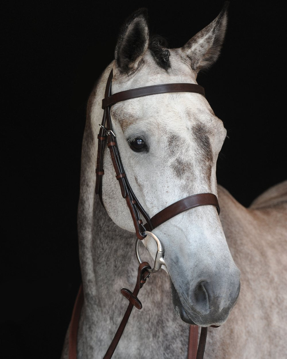 Collegiate Hunt Cavesson Bridle IV - Premium English Equestrian Bridle for Show Jumping & Dressage | Perfect for Competition & Training