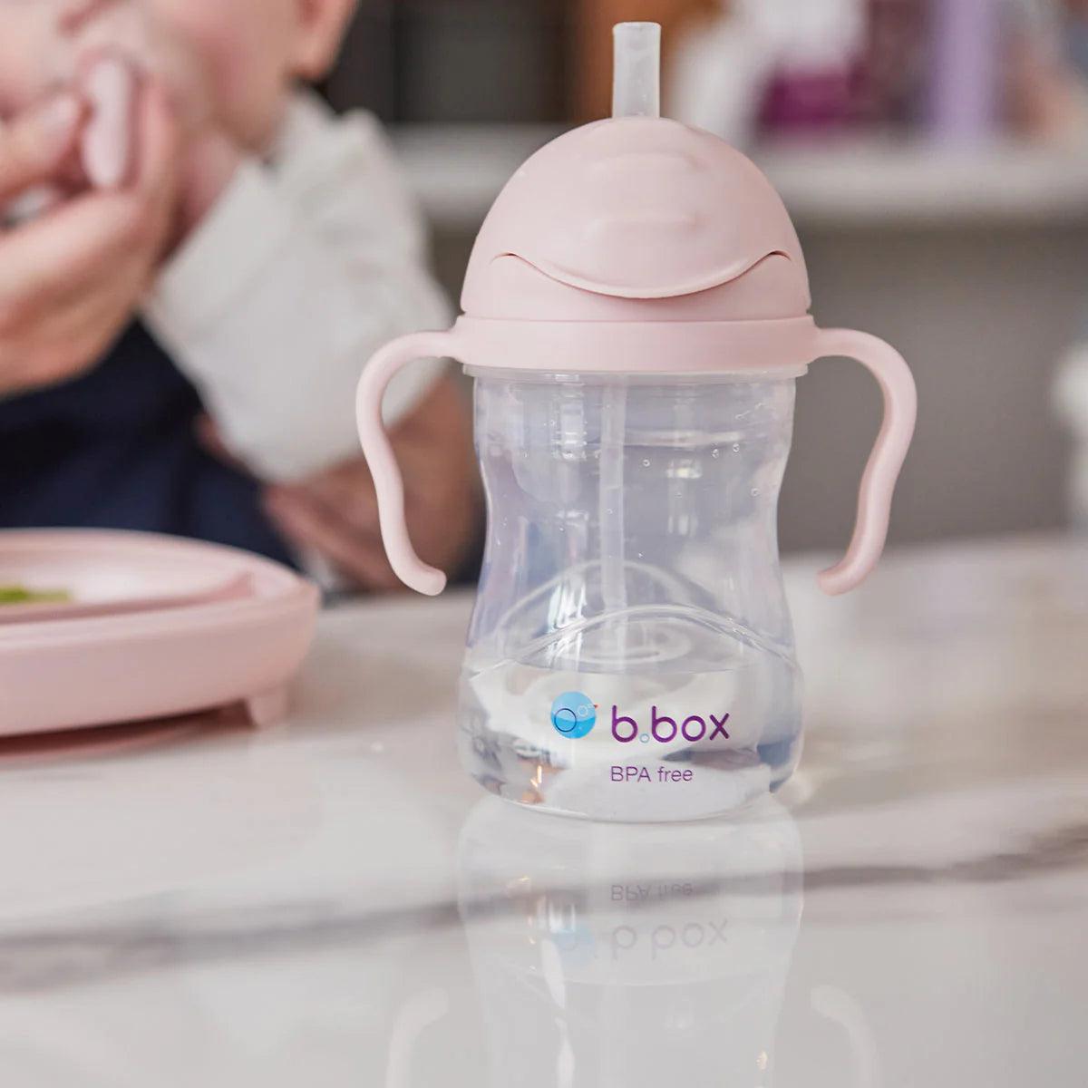 b.box Baby & Toddler Sippy Straw Cup 8oz/240ml - Leak Proof Spill Proof Drinking Cup for Infants & Kids - Perfect for Daycare, Travel & On-the-Go Hydration