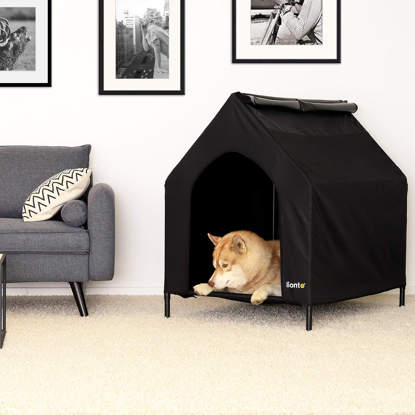 Lyonto Elevated Dog Bed with Roof - Black (Medium 110x75x105cm) - Breathable & Durable Pet Cot for Indoor/Outdoor Use - Perfect for Backyards, Patios & Kennels