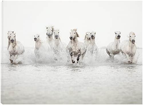 White Horses
